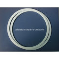 Virgin PTFE /POM/PA Backup Ring/Gasket